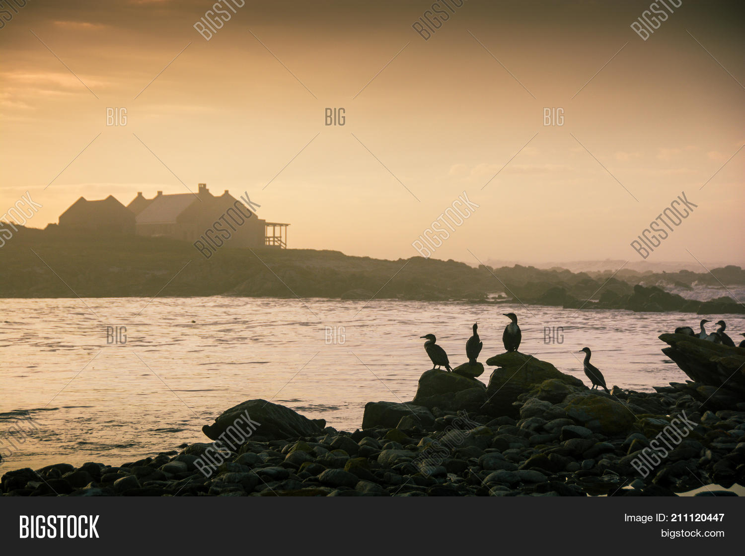 Image Preview