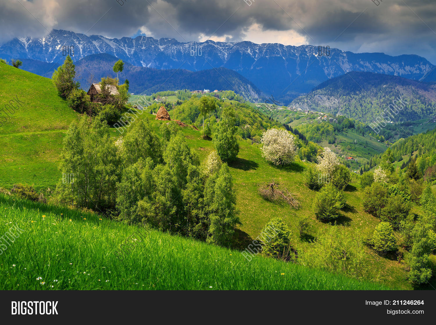 Image Preview