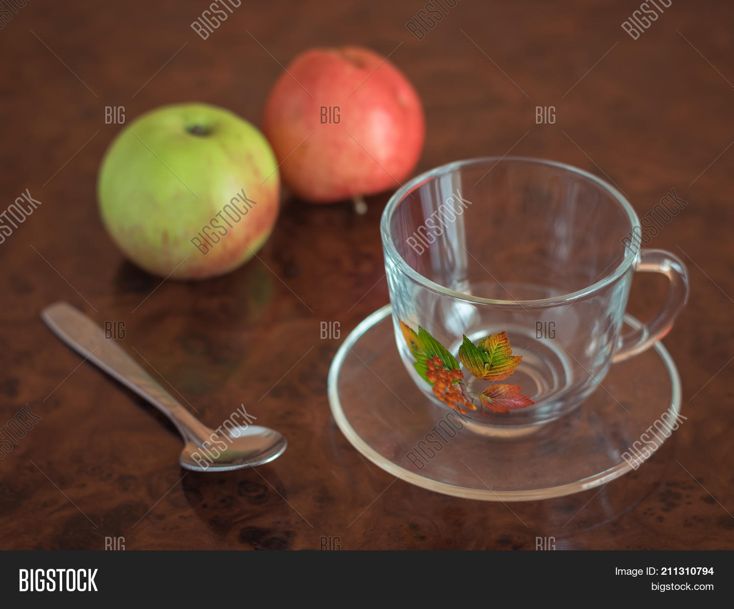 Image Preview
