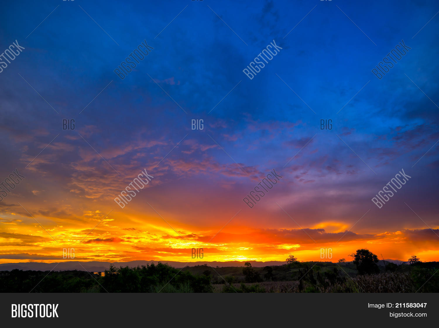 Image Preview