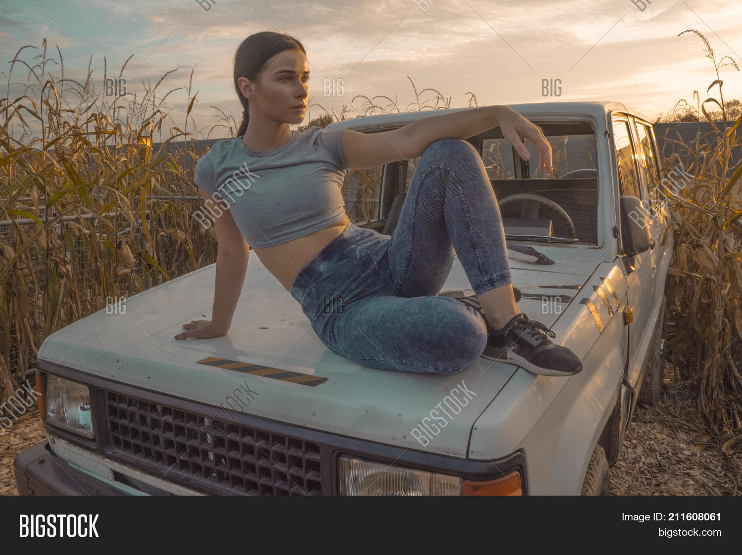 Beautiful Girl On Car Image & Photo (Free Trial) Bigstock