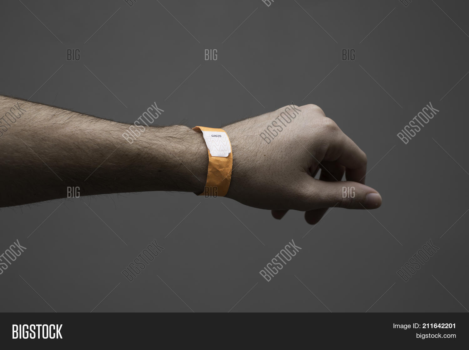 Image Preview