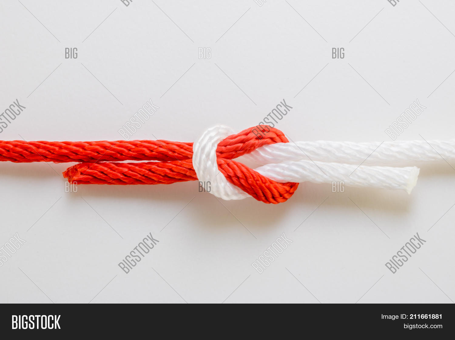 Close Red White Rope Image & Photo (Free Trial) | Bigstock