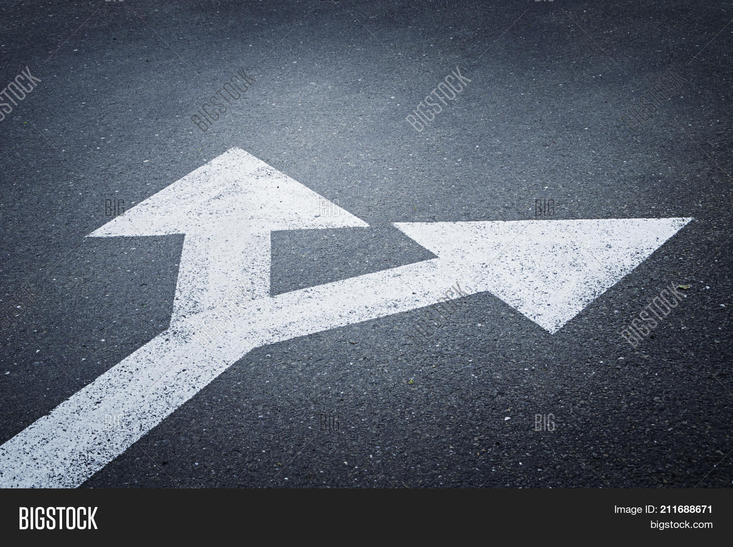 Bi-directional Arrow Image & Photo (Free Trial) | Bigstock