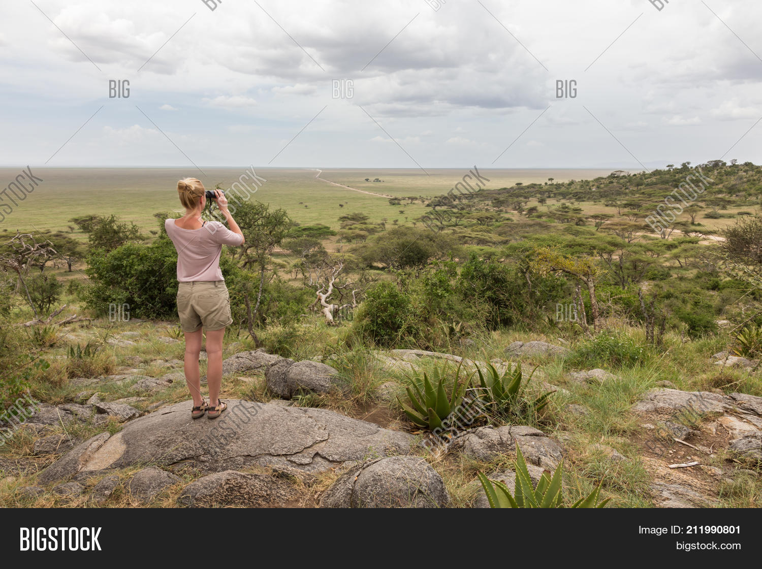 Image Preview
