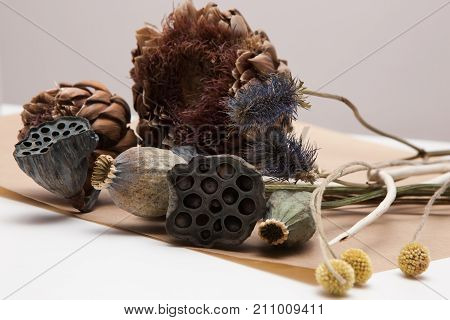 Decorative background of dried up plants, close up. Floristics workshop, arrangement and ikebana concept