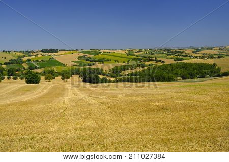 Rural landscape along the road from Appignano to Montecassiano (Ancona Marches Italy) at summer.