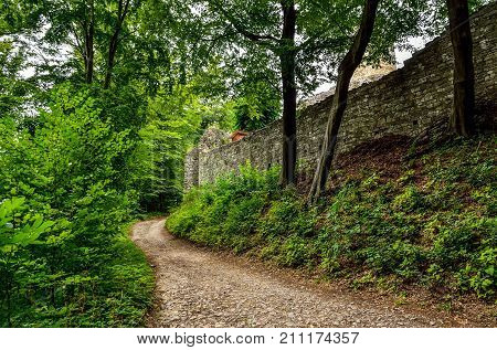 Green forest landscape. A gravel road near the walls of the ruins of the castle.