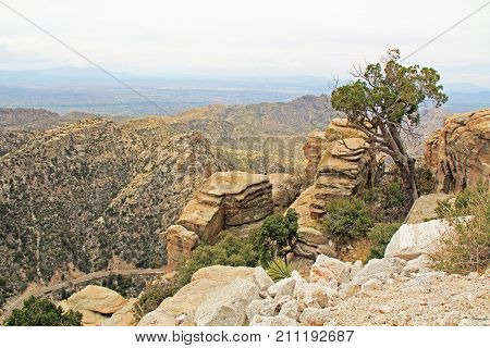 View towards Tucson of winding road from Windy Point on Mount Lemmon in Tucson, Arizona, USA in the Santa Catalina Mountains located in the Coronado National Forest with blue sky copy space.
