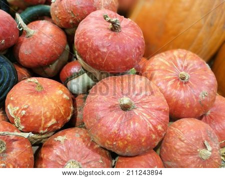 Many Pumpkins On A Farmers Market