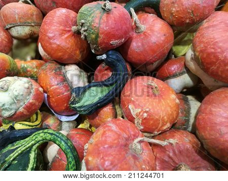 Many Pumpkins On A Farmers Market