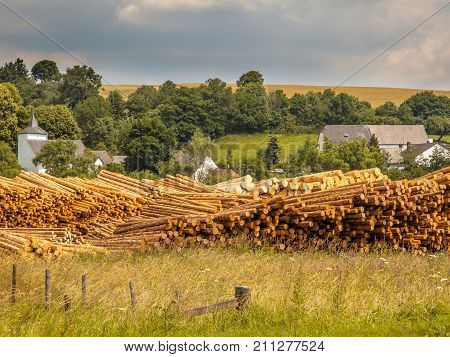 Piles Of Wood Timber Trunks At A Lumber Yard In Germany