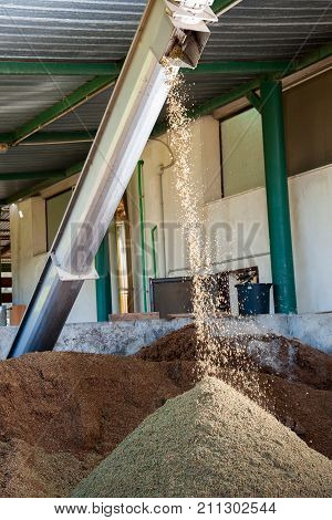 Oil Mill Process