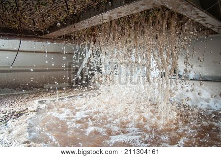 Olive Washing Phase
