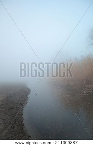 Morning On The River Early Morning Reeds Mist Fog And Water Surface On The River