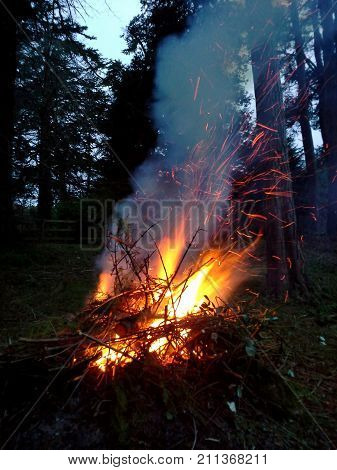 Sparky Bonfire in the Woods at Night