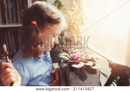 child girl learning to grow potted plants at home Kid exloring home flowers with loupe. Nature care and ecology concept