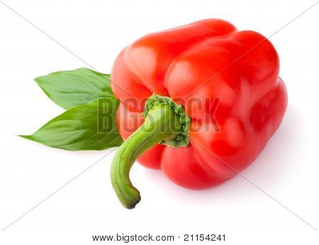 Peperone rosso con foglia