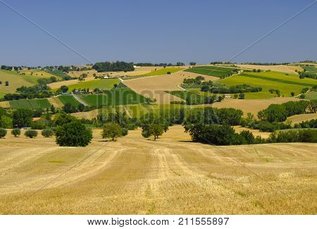 Rural landscape along the road from Appignano to Montecassiano (Ancona Marches Italy) at summer.