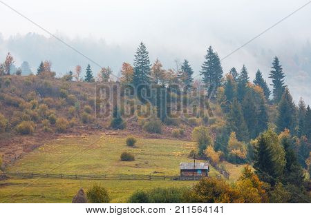 Autumn Carpathians (ukraine).