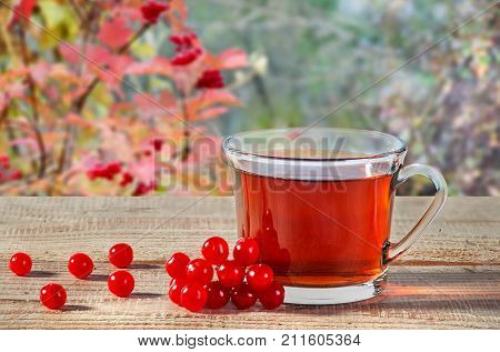 Cup of black tea, viburnum berries on a rustick wooden table. Black tea in a transparent cup with a blurry background.
