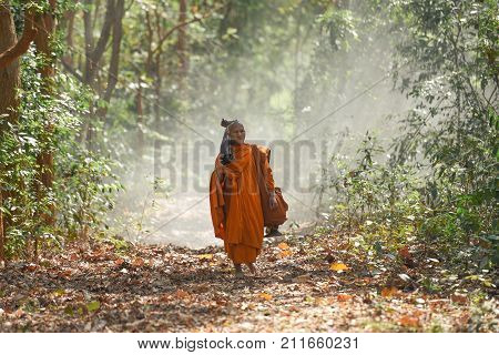 Monk walking in temple meditating under a tree at temple in Thailand