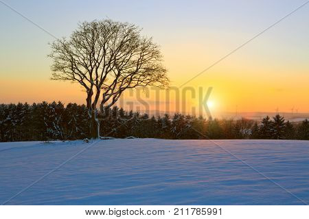 Snowy winter Christmas Landscape.Winter sunset over the snow-covered tree.
