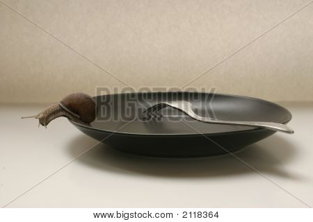 Hélice exécuter de plaque 