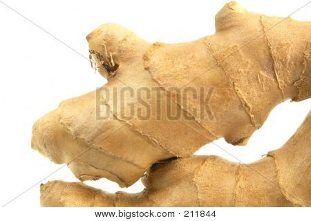 Ginger