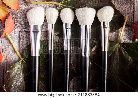 Professional cosmetics make up prducts in autumn concept on dark wooden background. Studio photo