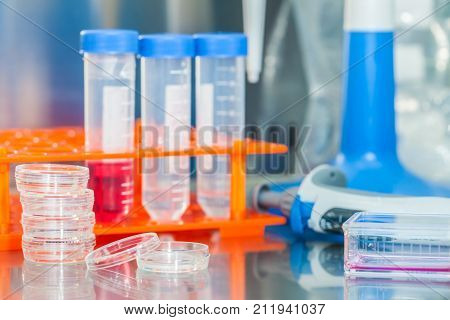 Laboratory Materials In A In A Safety Laminar Air Flow Cabinet At Laboratory