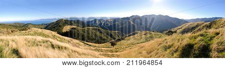 Wairarapa panorama