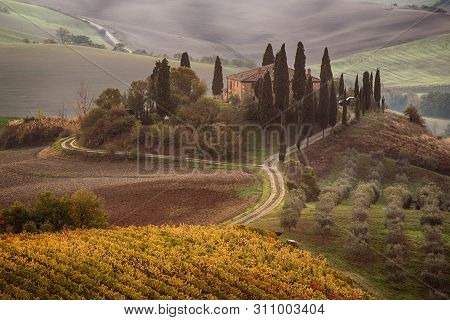 Beautiful Golden Sunrise In Tuscany, Italy With Vineyard. Natural Idillyc Seasonal Autumn Background