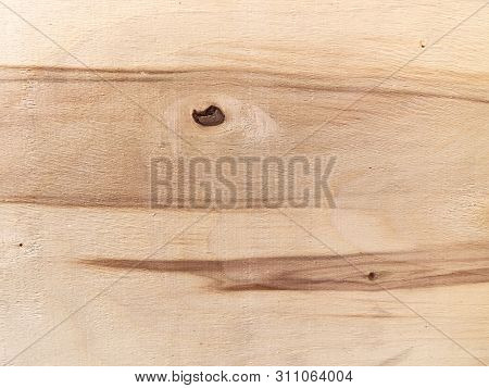 Wood Texture. Natural Natural Resunok On The Surface.