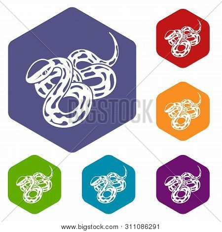 Texas Snake Icons Colorful Hexahedron Set Collection Isolated On White