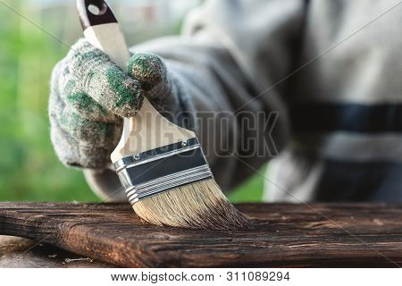 The Carpenter Is Dyeing A Wooden Board By A Brush In His Hand With A Mordant Paint.