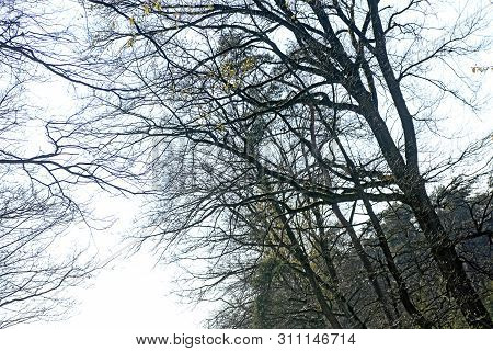 Driving From Olfen To Dorsten Road Tripp Backgrounds Wallpapers In High Quality Fine Art Prints.