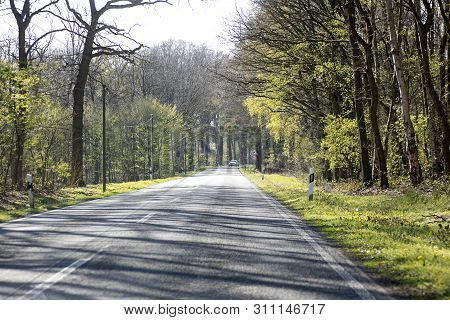 Empty Road With Trees Driving From Olfen To Dorsten Road Tripp Backgrounds Wallpapers In High Qualit