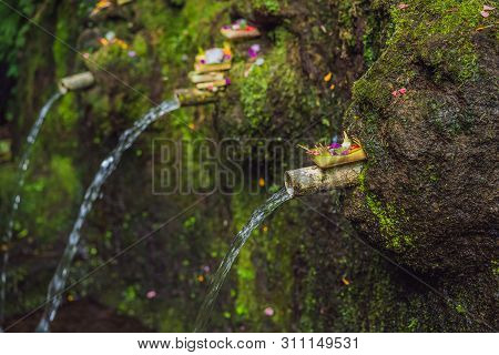 Daily Offerings - Canang Sari Is Very Important In Bali, Indonesia