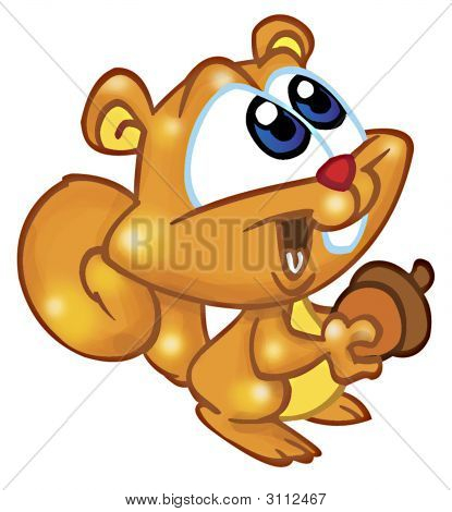 Squirel