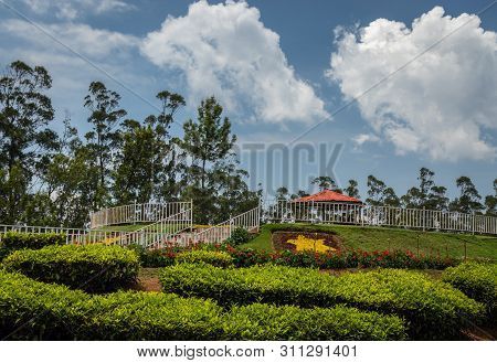Tea Gardens In The Foothills Of Western Ghat