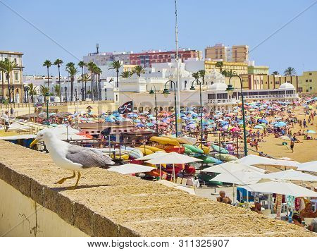 La Caleta Beach. View From Duque De Najera Avenue. Cadiz. Andalusia, Spain.