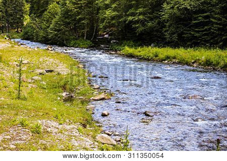 Creek Of Rausor Dam In The Mountains Of Iezer, Romania. Small Stream Of Water In The Forest.
