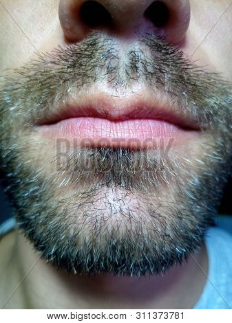 Bearded Young Man, Stubble Near. Unshaven More Than A Week. Hair On The Face Of A Man, A Short Beard