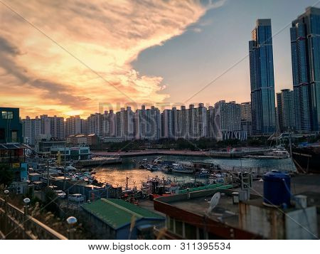 Pinkish Sunset In An Industrial City. Ocean With Boats Surrounded By Skyscrappers.