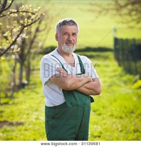 Ritratto di un anziano giardiniere nel suo giardino/frutteto (immagine a colori dai toni)