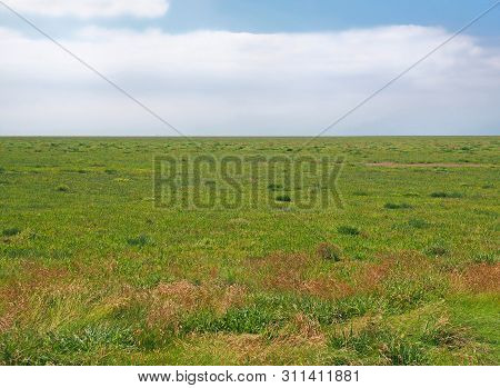 Grass Covered Salt Marsh Tidal Landscape In The Ribble Valley Near Southport Merseyside With White C
