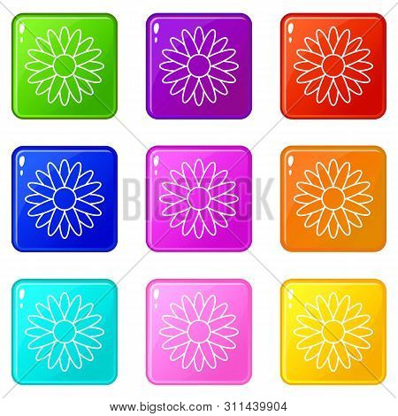 Honey Flower Icons Set 9 Color Collection Isolated On White For Any Design