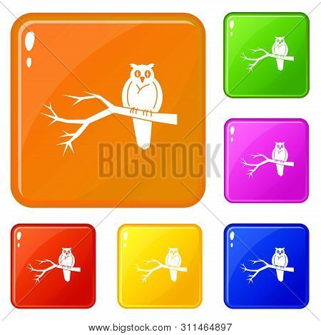 Owl On Tree Icons Set Collection 6 Color Isolated On White Background