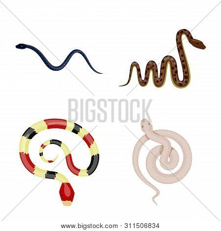Vector Illustration Of Poison And Evil Symbol. Collection Of Poison And Bite Vector Icon For Stock.